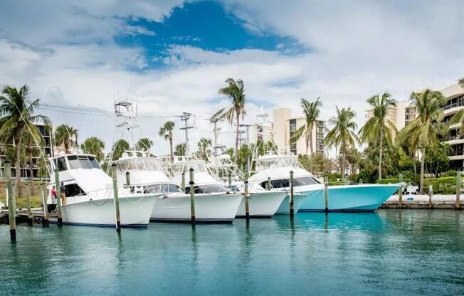 Loggerhead Marina at The Sophia at Abacoa, Jupiter, FL
