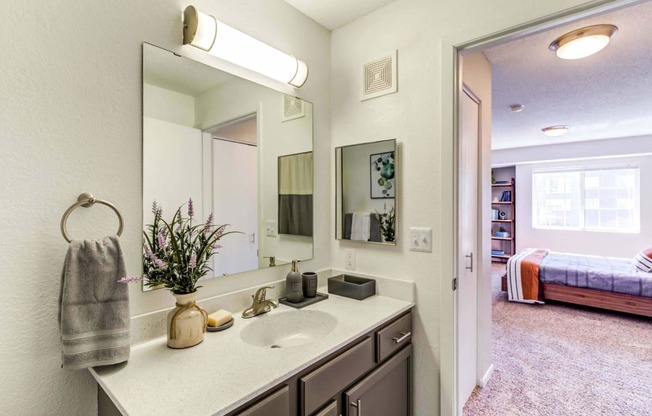 a bathroom with a sink and a mirror