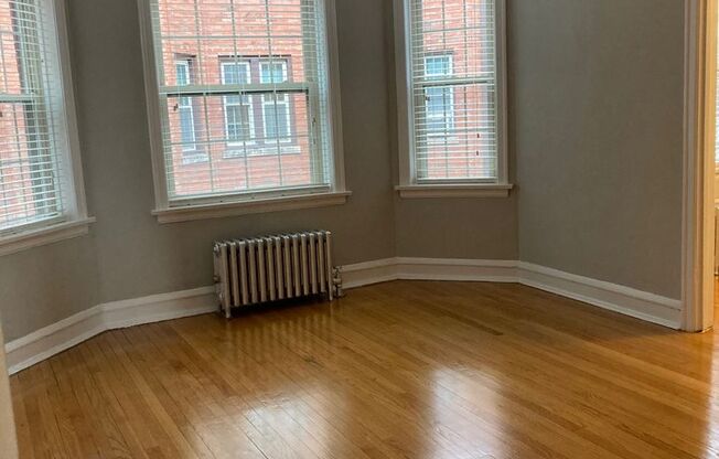 Recently Renovated East Rogers Park One Bedroom - Pets Welcome!