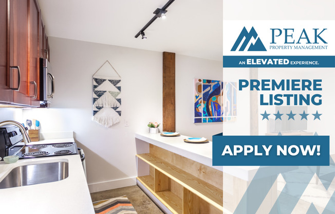 1 bed, 1 bath, 465 sqft, $1,250, Unit Apt 211