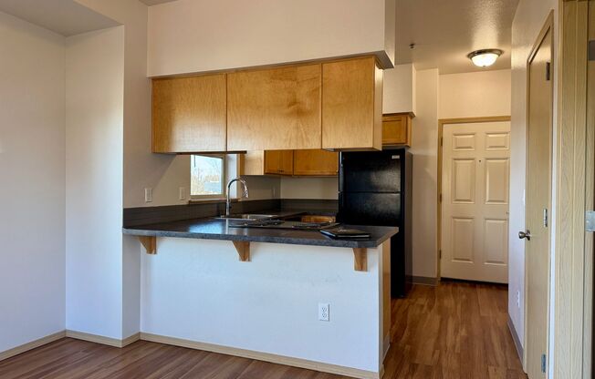 1 bed, 1 bath, 434 sqft, $1,350, Unit 302