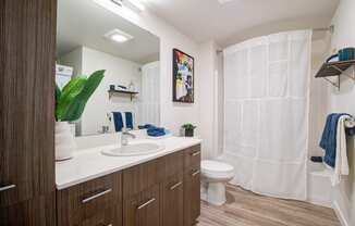 Bathroom with Cabinets, Wood Inspired Floors, Toilet and Shower Curtain