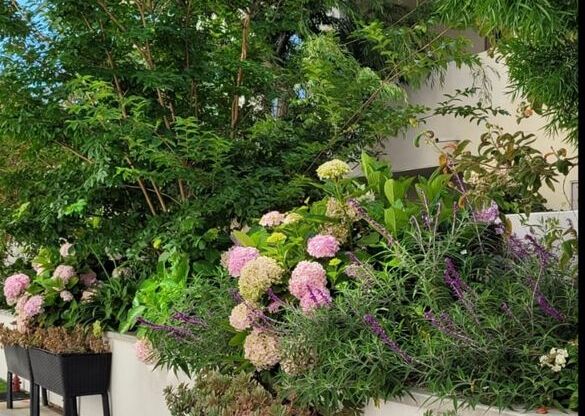 3 beds, 2.5 baths, 1,349 sqft, $4,740, Unit 205