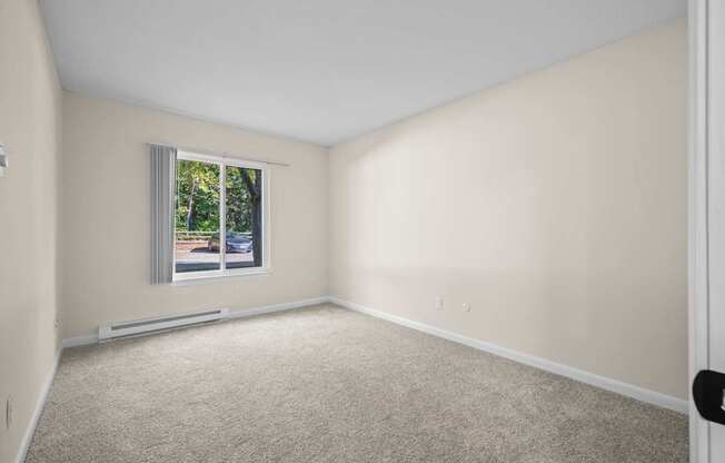 Empty room with a window and carpeted floor.