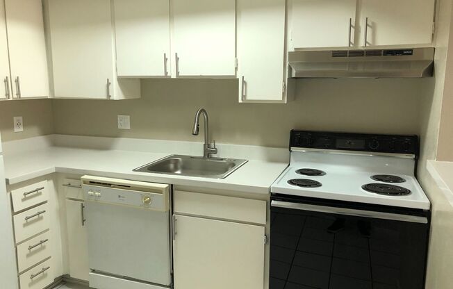 1 bed, 1 bath, $1,350, Unit # 259