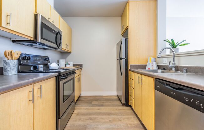 1 bed, 1 bath, 730 sqft, $1,695, Unit B307