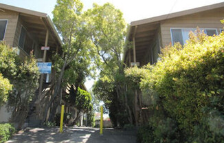 Two-bedroom apartment, with double pain glass windows, Oak laminate floors