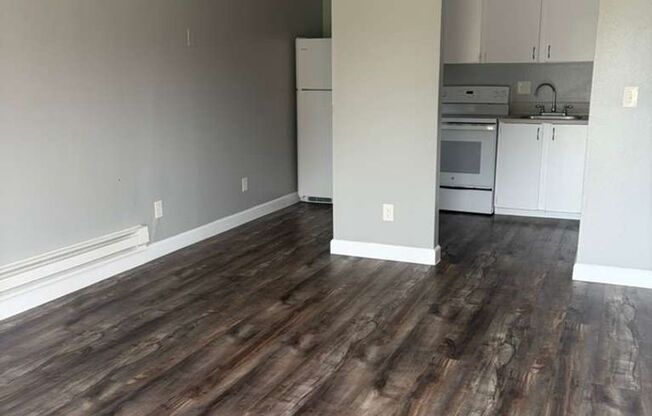 1 bed, 1 bath, 460 sqft, $985, Unit 505 R3