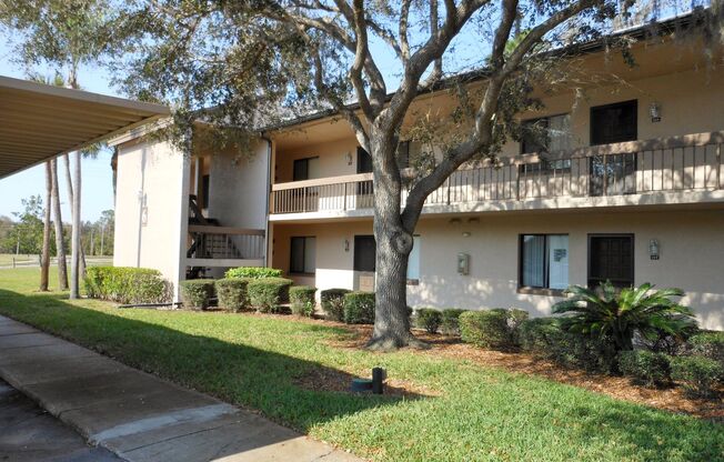 Condo in East Lake Woodlands