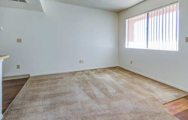 an empty living room with a window and carpeted flooring