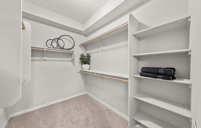 A white closet with shelves and a plant on the shelf.