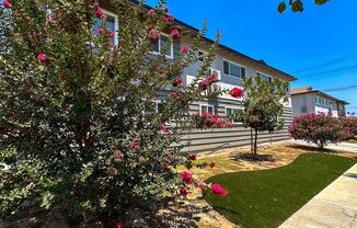 1111 S. Benito Apts - 1609