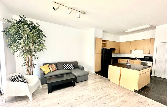 1 bed, 1 bath, 680 sqft, $2,700, Unit Unit 404