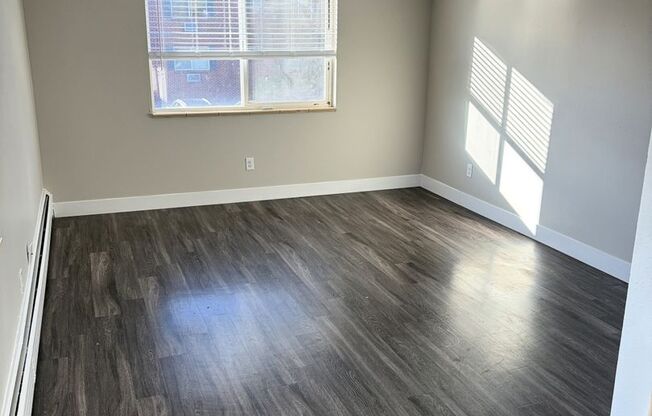 Convenient 1 Bed / 1 Bath Apartment in Lakewood