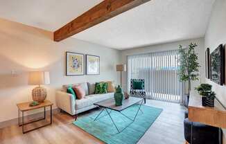 A living room with a couch, a coffee table, and a rug.