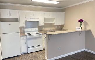 1 bed, 1 bath, 419 sqft, $1,100, Unit 224