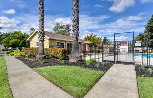 Backside of the leasing office and gated pool gate entry.  Two large/mature palm trees at the gate entrance. 