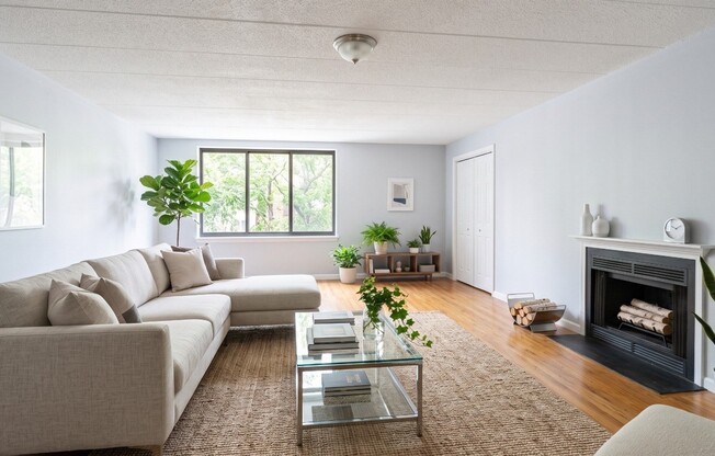 3 beds, 2 baths, 1,280 sqft, $4,800, Unit 415