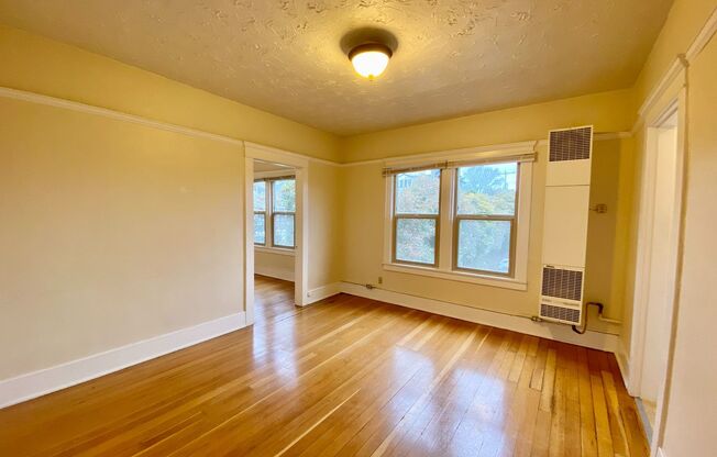 1 bed, 1 bath, 505 sqft, $1,495, Unit 15