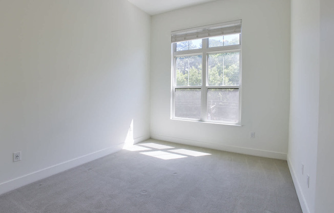 Carpeted Bedroom