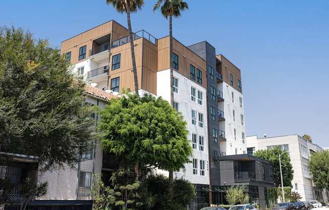 A modern building with a palm tree in front at Skylar At Sunset Apartments, Los Angeles, CA