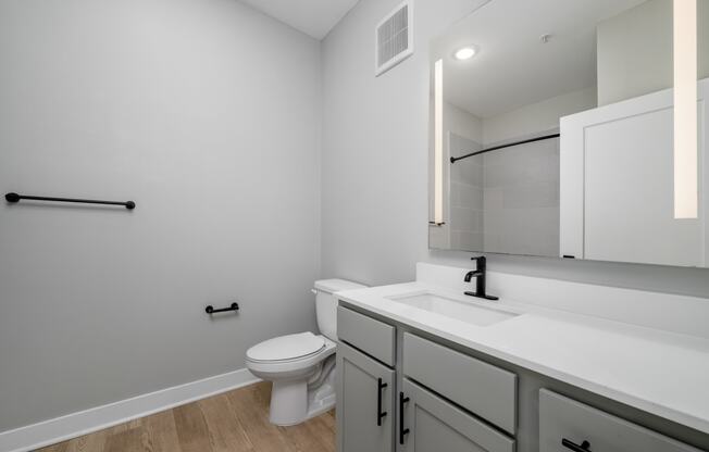 a bathroom with a toilet and a sink and a mirror