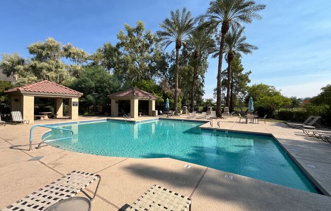 READY TO VIEW NOW! Beautiful 3 Bed 2 Bath Located in Scottsdale