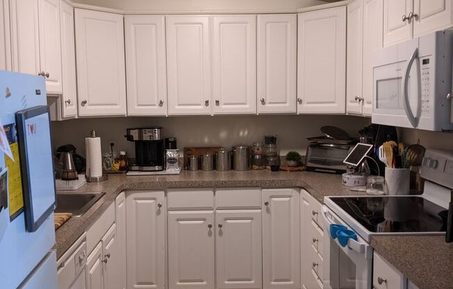 1 bed, 1 bath, 570 sqft, $3,200, Unit 509