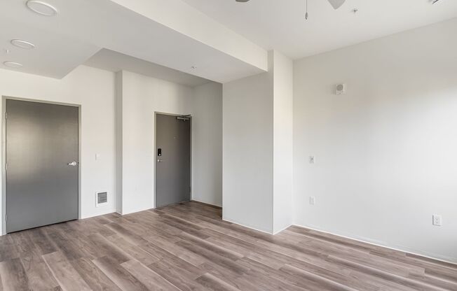 Studio, 1 bath, 309 sqft, $1,175, Unit 313