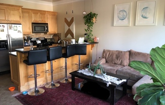 1 bed, 1 bath, $2,895