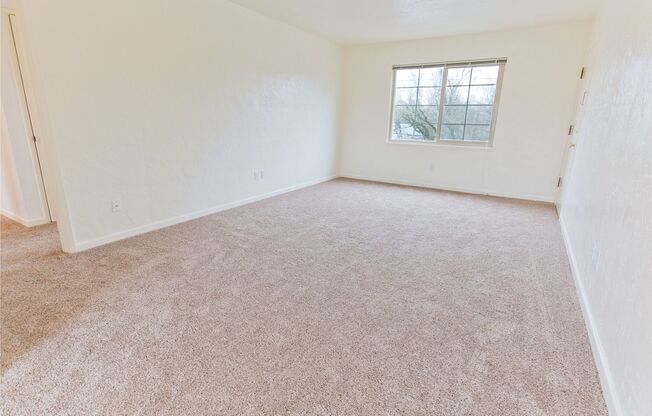 1 bed, 1 bath, 630 sqft, $1,425, Unit 4111 - 3