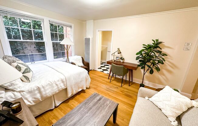 Studio, 1 bath, 365 sqft, $995, Unit 208
