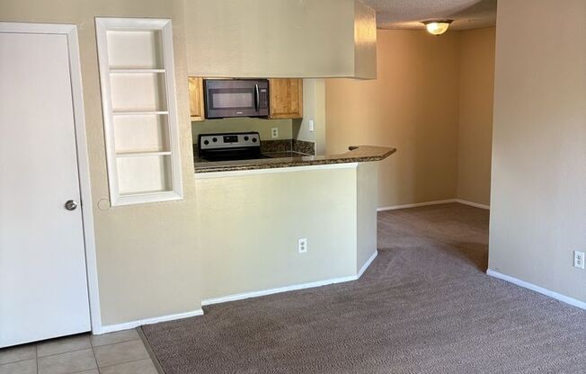Spacious 1 bedroom/1 bathroom condo at Oasis at Pearl Lake