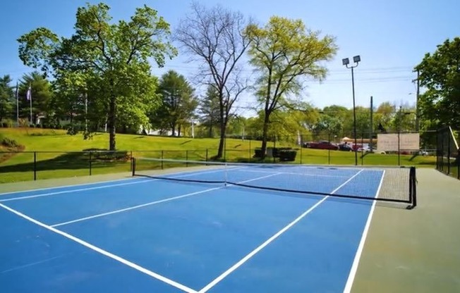 Competitive Grade US Open Tennis Court