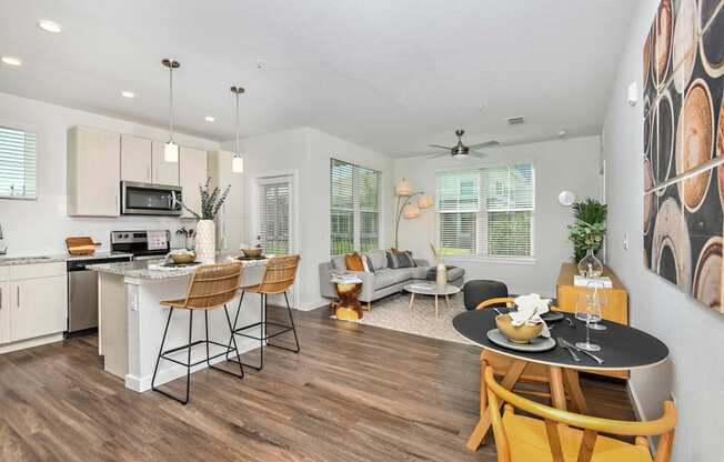 Spacious Apartments at The Gallery Luxury Apartments in Trinity, FL