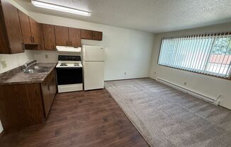 Studio, 1 bath, 300 sqft, $585, Unit 2537-22