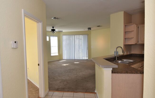 Allegro Palms Condo