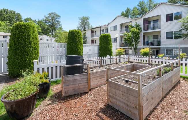 a community garden with raised beds and a white fence