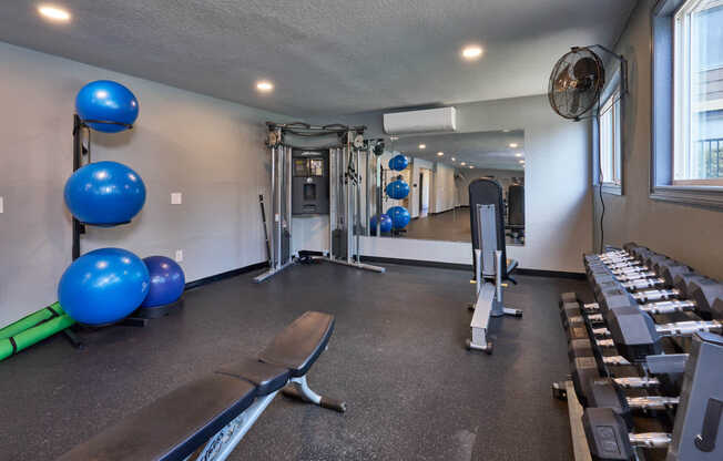 Gym