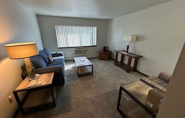 1 bed, 1 bath, $995, Unit 222