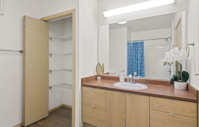 a bathroom with a sink and a mirror