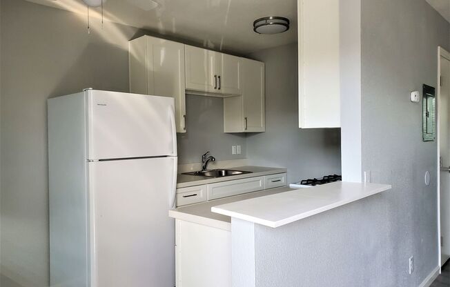 Established Community with Fully Renovated Apartments - Brand New Everything at 940 N San Joaquin St.