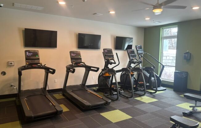 Studio, 1 bath, 585 sqft, $1,515, Unit 10009-204