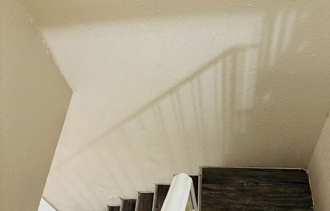 1 bed, 1 bath, 725 sqft, $1,300, Unit 1002