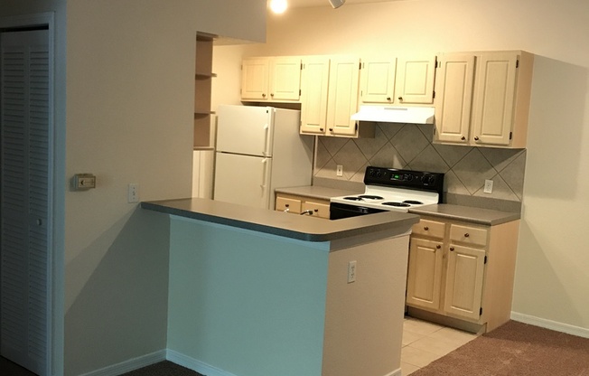 1 bed, 1 bath, $1,250