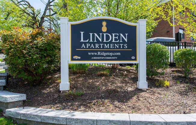 The Linden Apartments: In-Unit Washer & Dryer, Heat and Hot Water Included, Cat & Dog Friendly, and On Site Storage