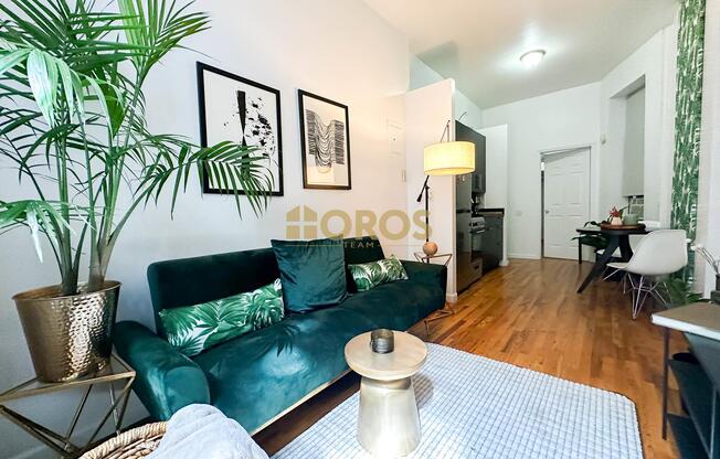 1 bed, 1 bath, $3,395, Unit 1