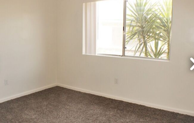 2 beds, 1 bath, $1,100, Unit 529 Knotts #1