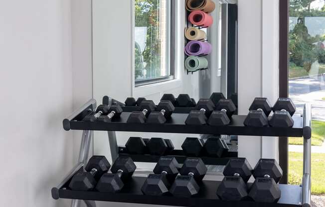 a rack of dumbbells in front of a mirror in a gym