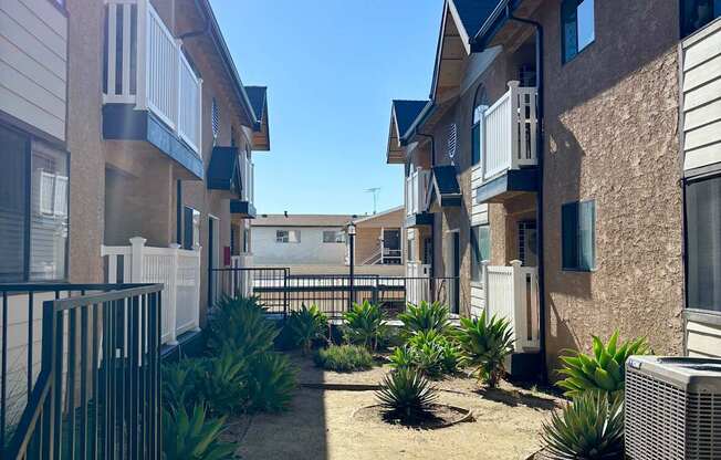 A sunny day in a row of houses with a fence and plants in the front.